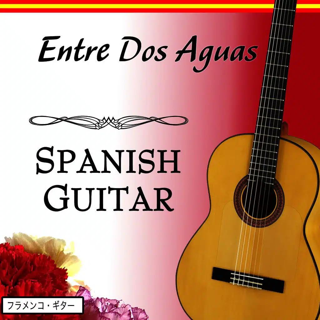 フラメンコギター   エントレ・ドス・アグアス