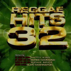 Reggae Hits Vol. 32