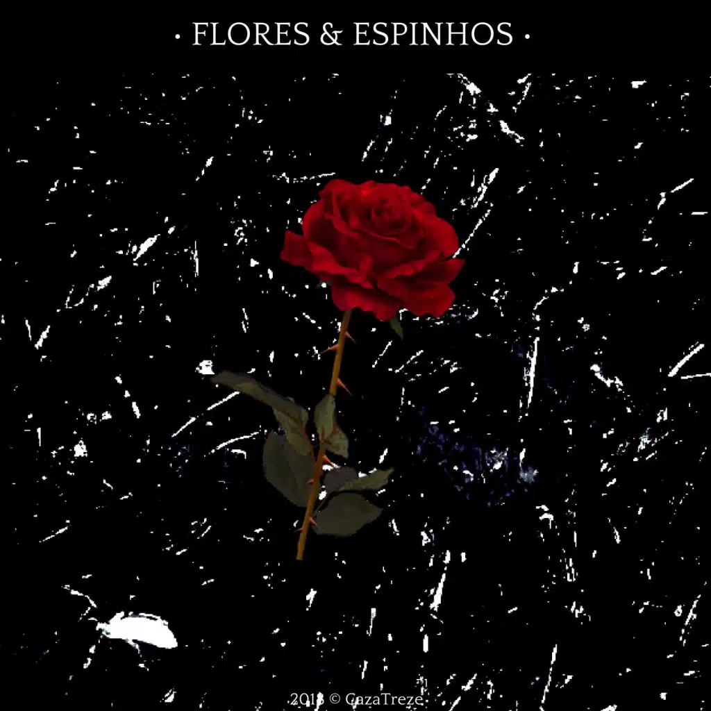 Flores & Espinhos