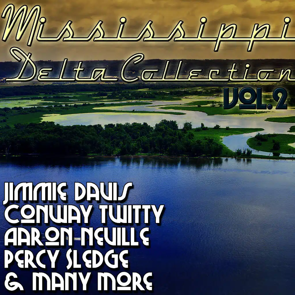Mississippi Delta Collection Vol. 2