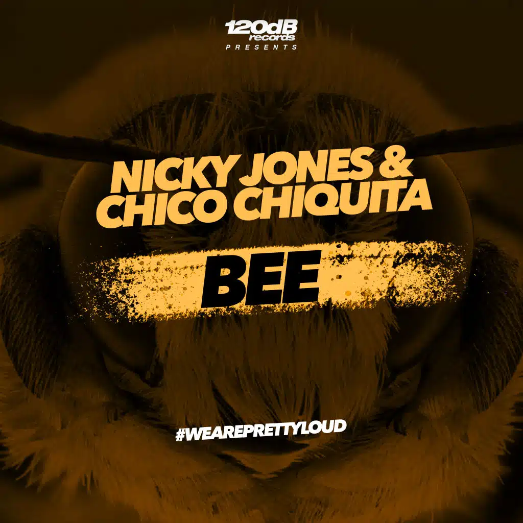 Nicky Jones, Chico Chiquita