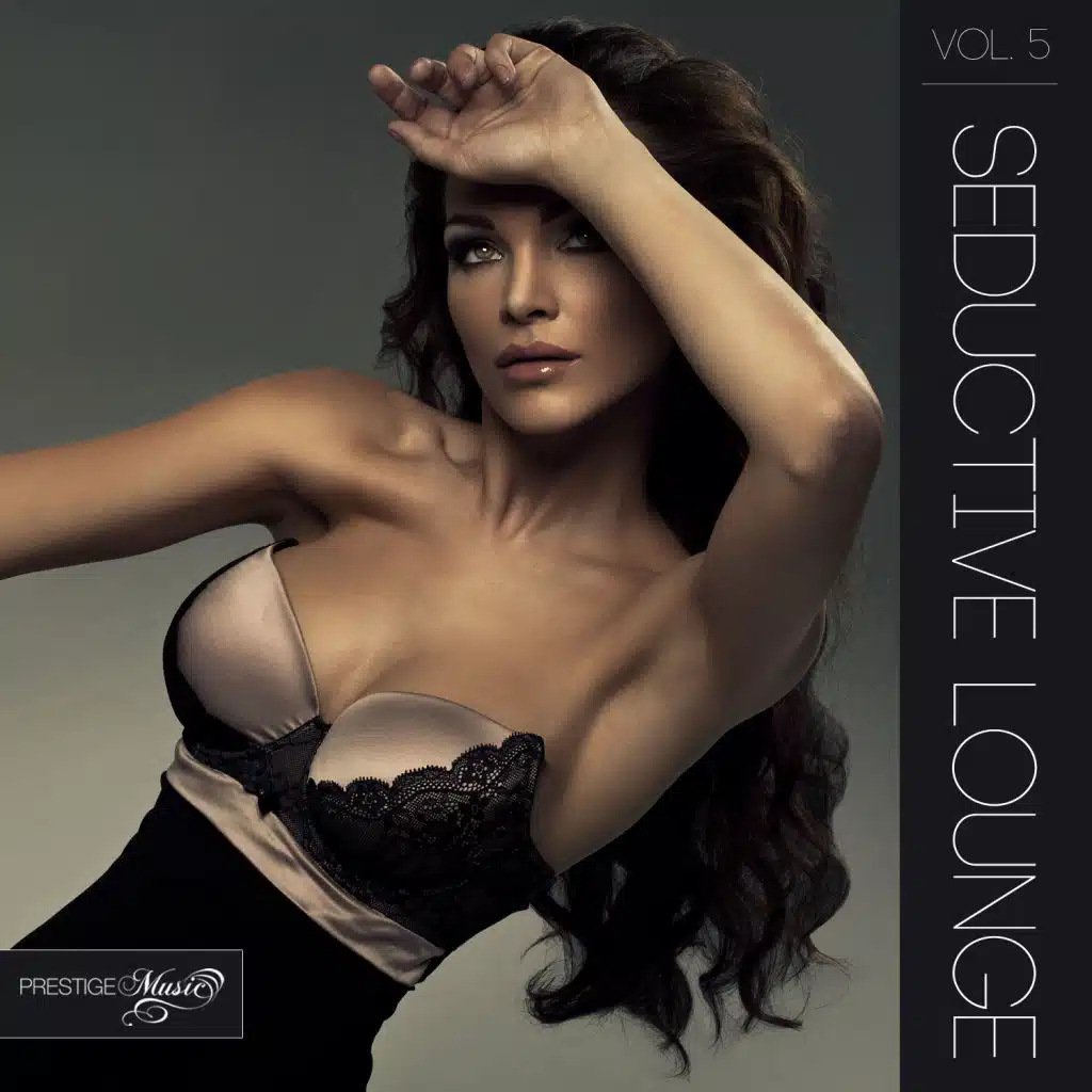 Seductive Lounge, vol. 5