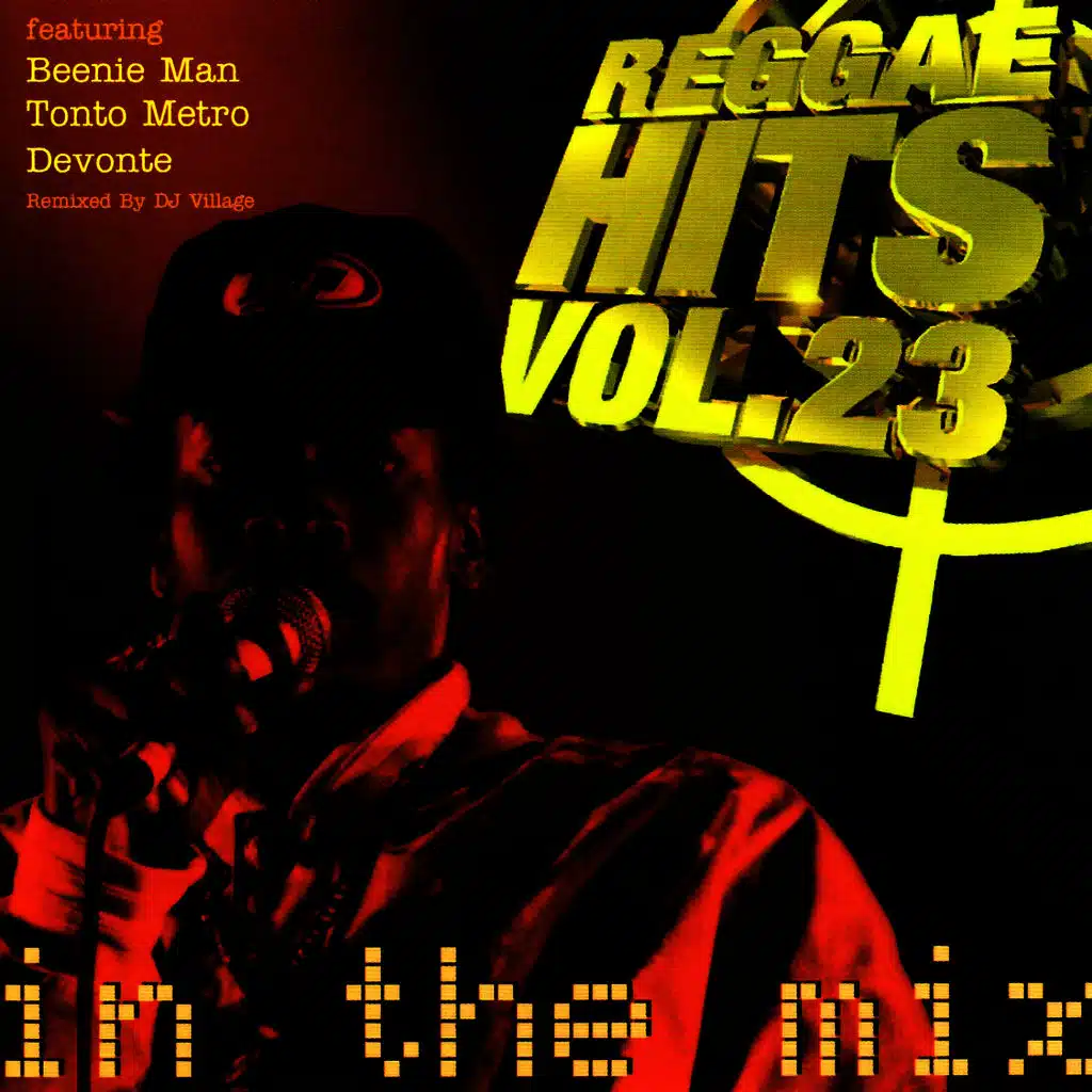 Reggae Hits Volume 23