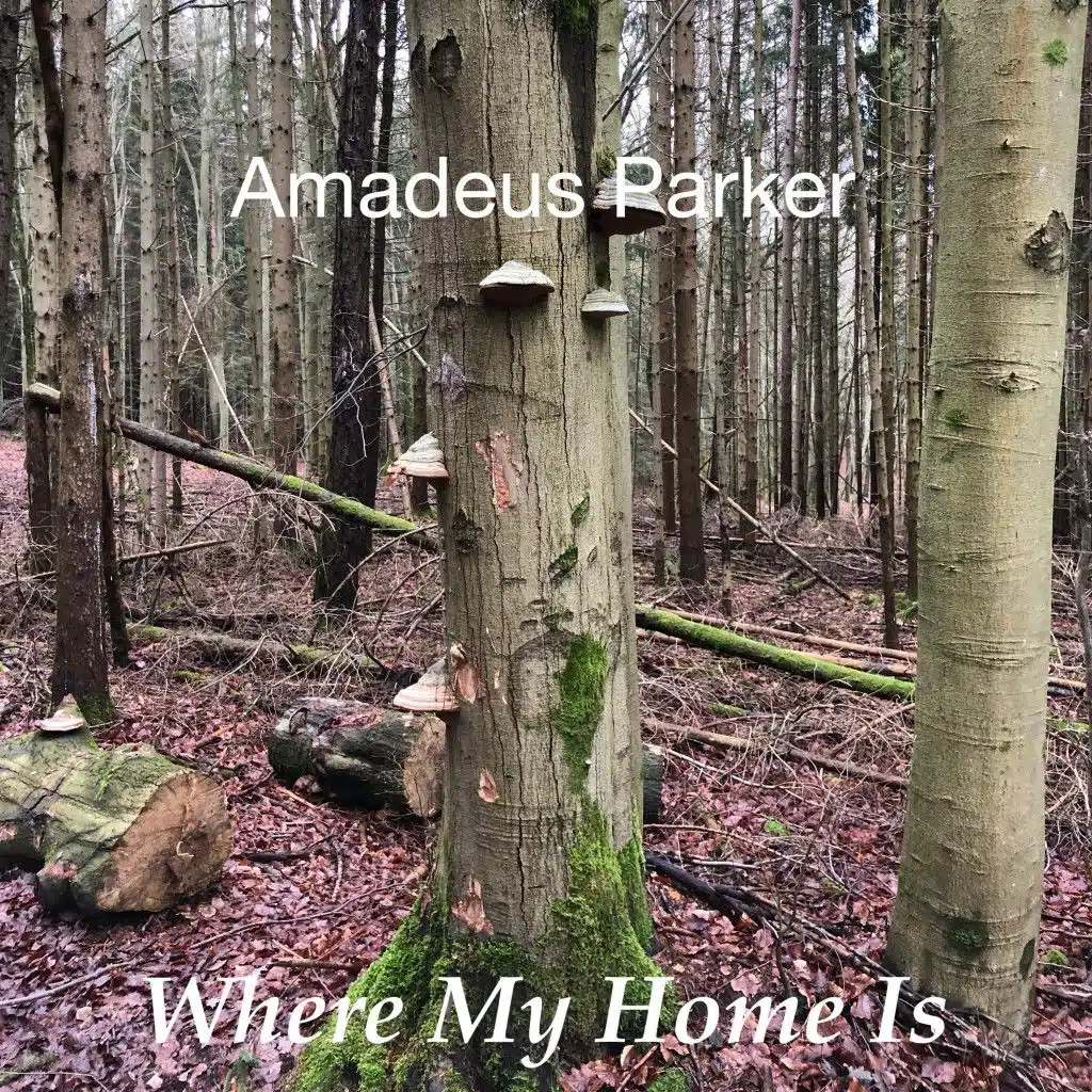 Amadeus Parker