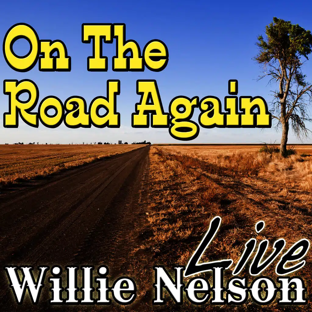 Whiskey River (Live)