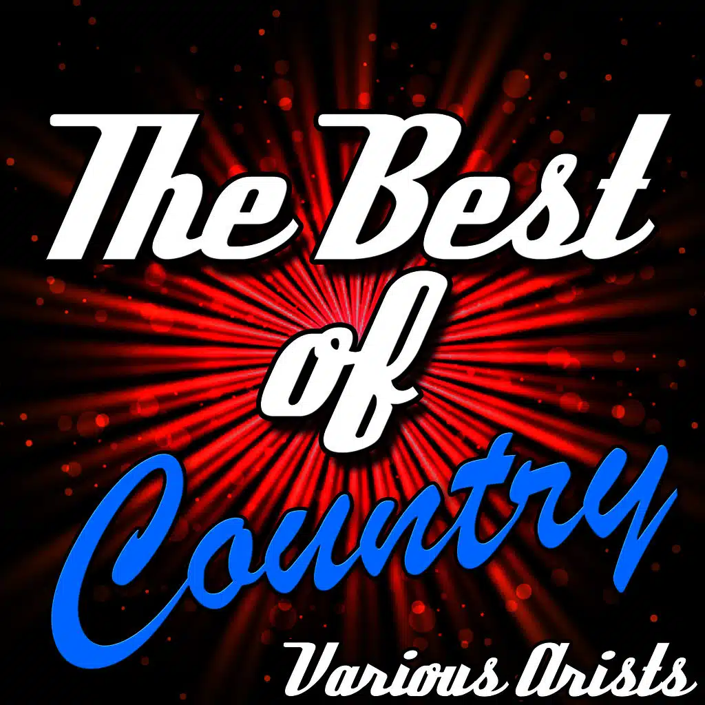 Steel Guitar Stomp (feat. Noel Boggs)