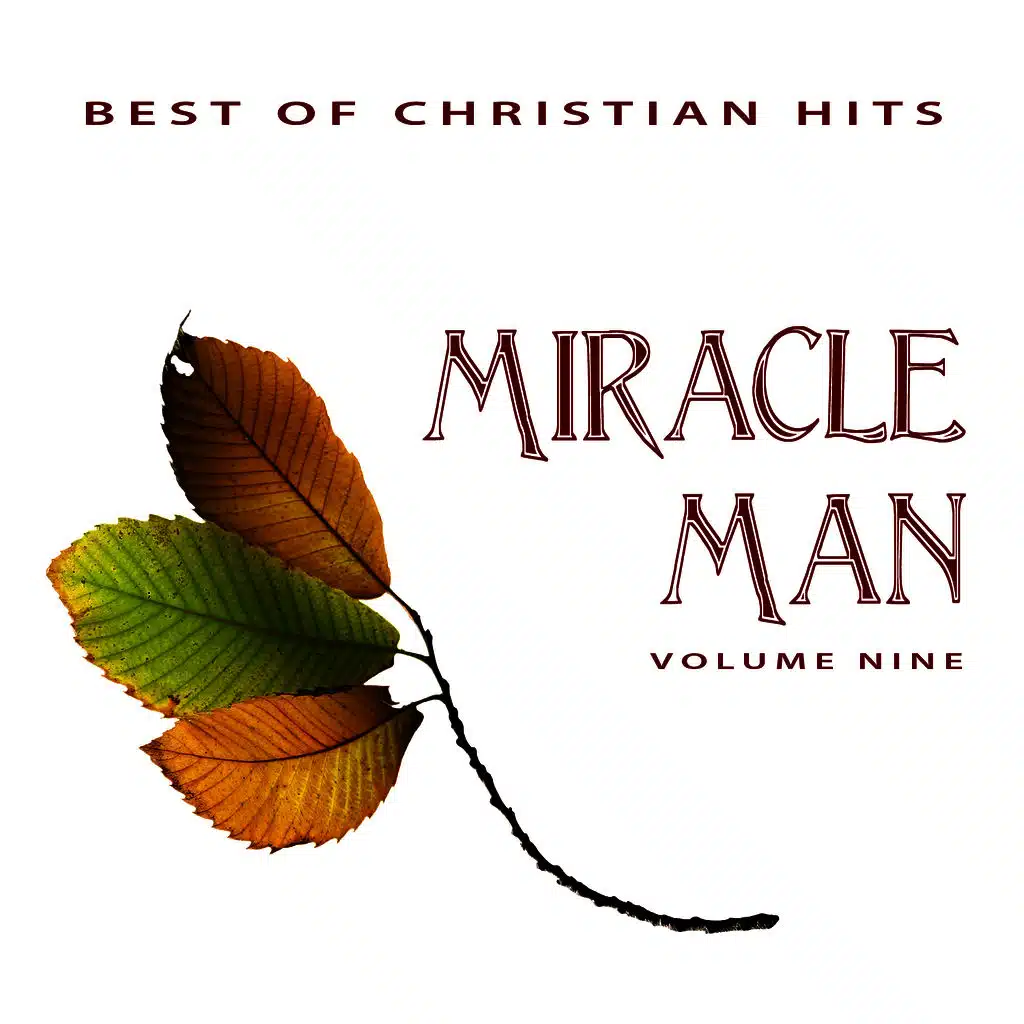 Best of Christian Hits: Miracle Man, Vol. 9