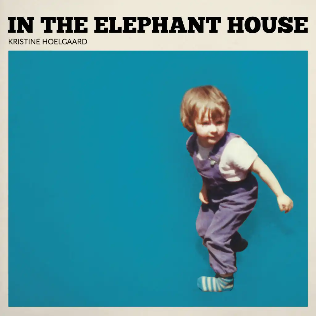 The elephant house