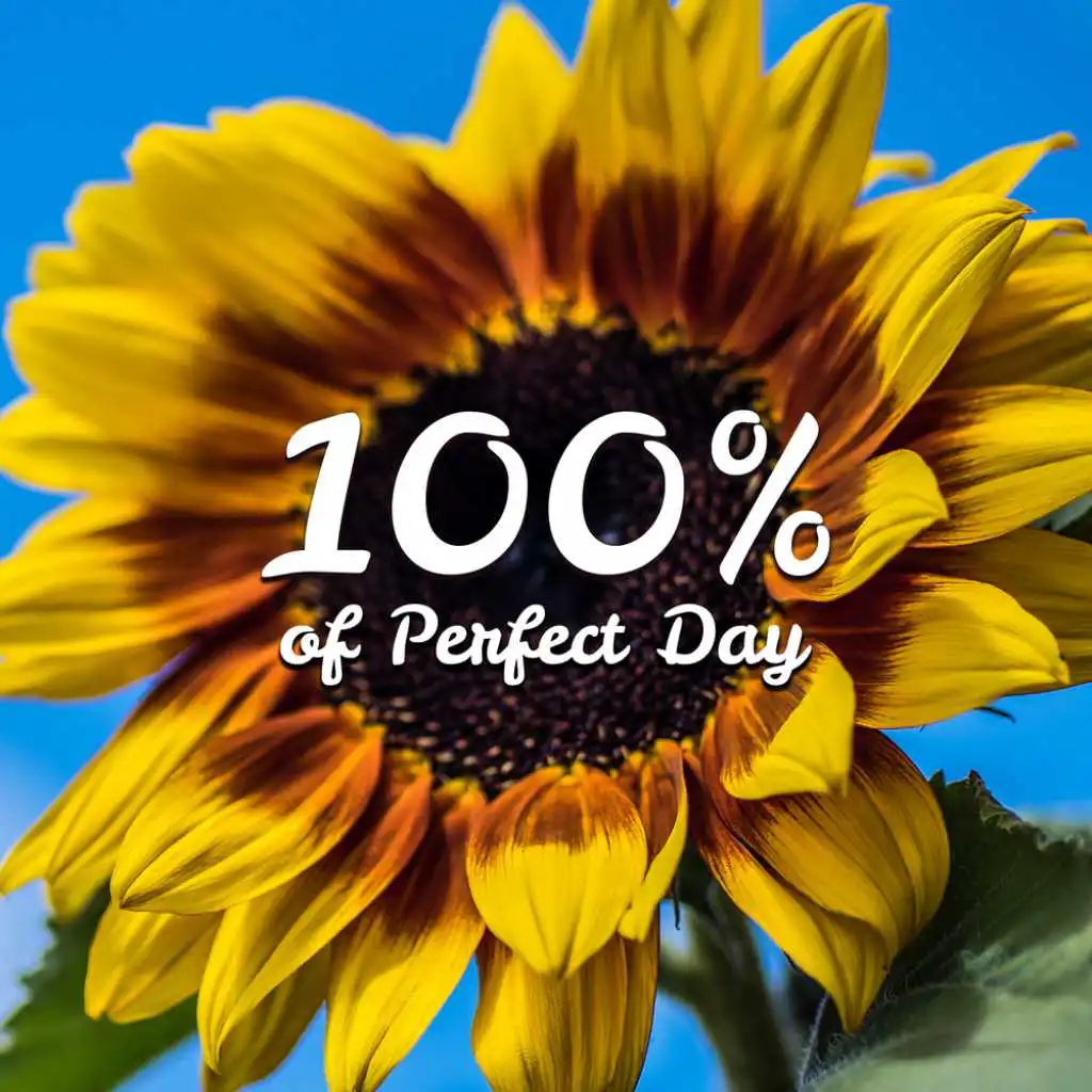 100% of Perfect Day