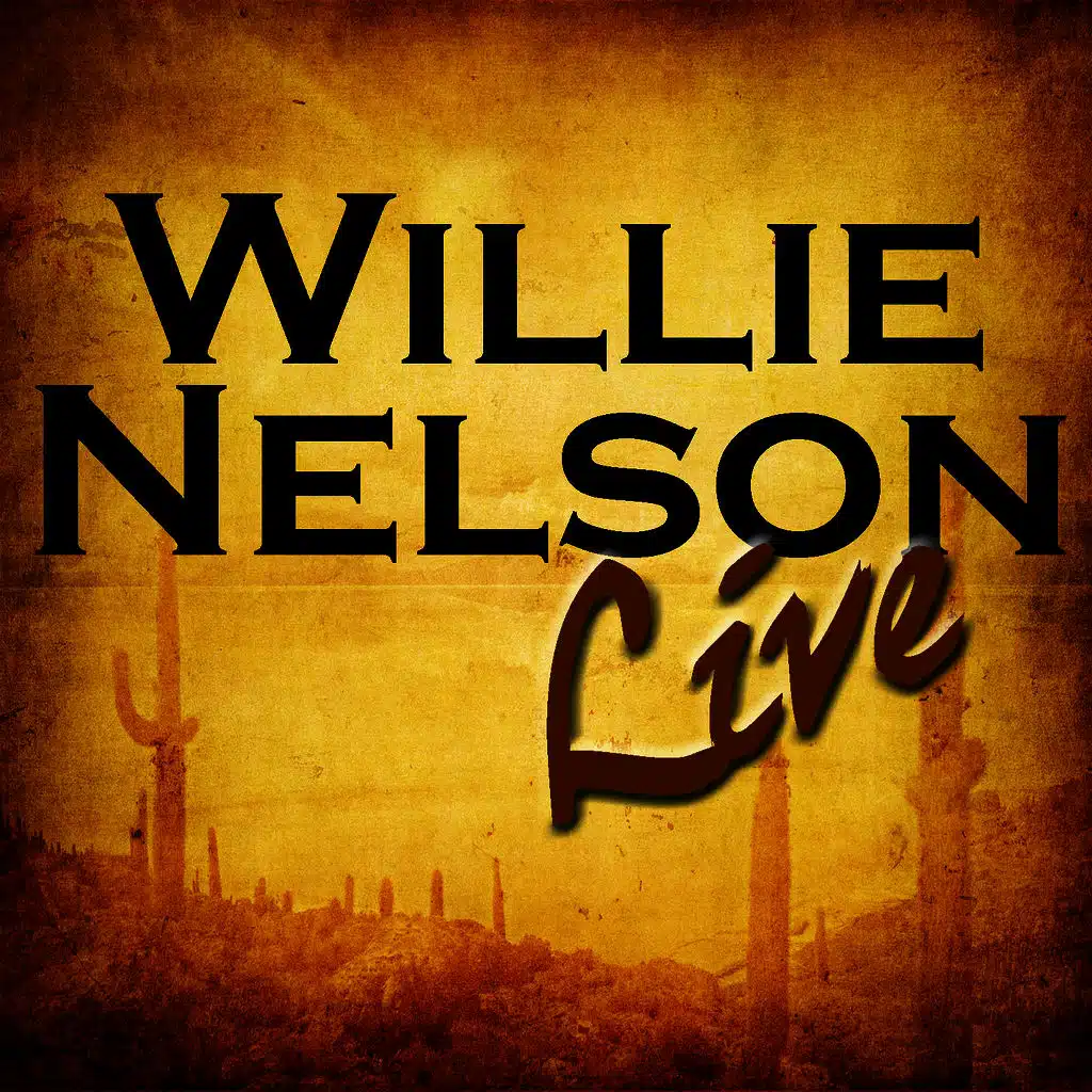 Blue Eyes Crying In The Rain