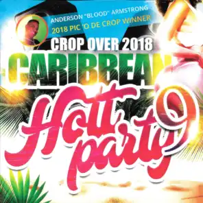 Caribbean Hott Party, Vol. 9
