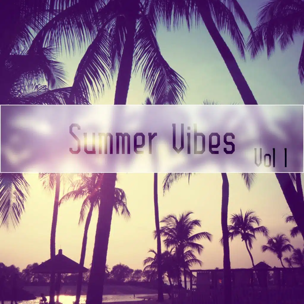 Summer Vibes, Vol. 1