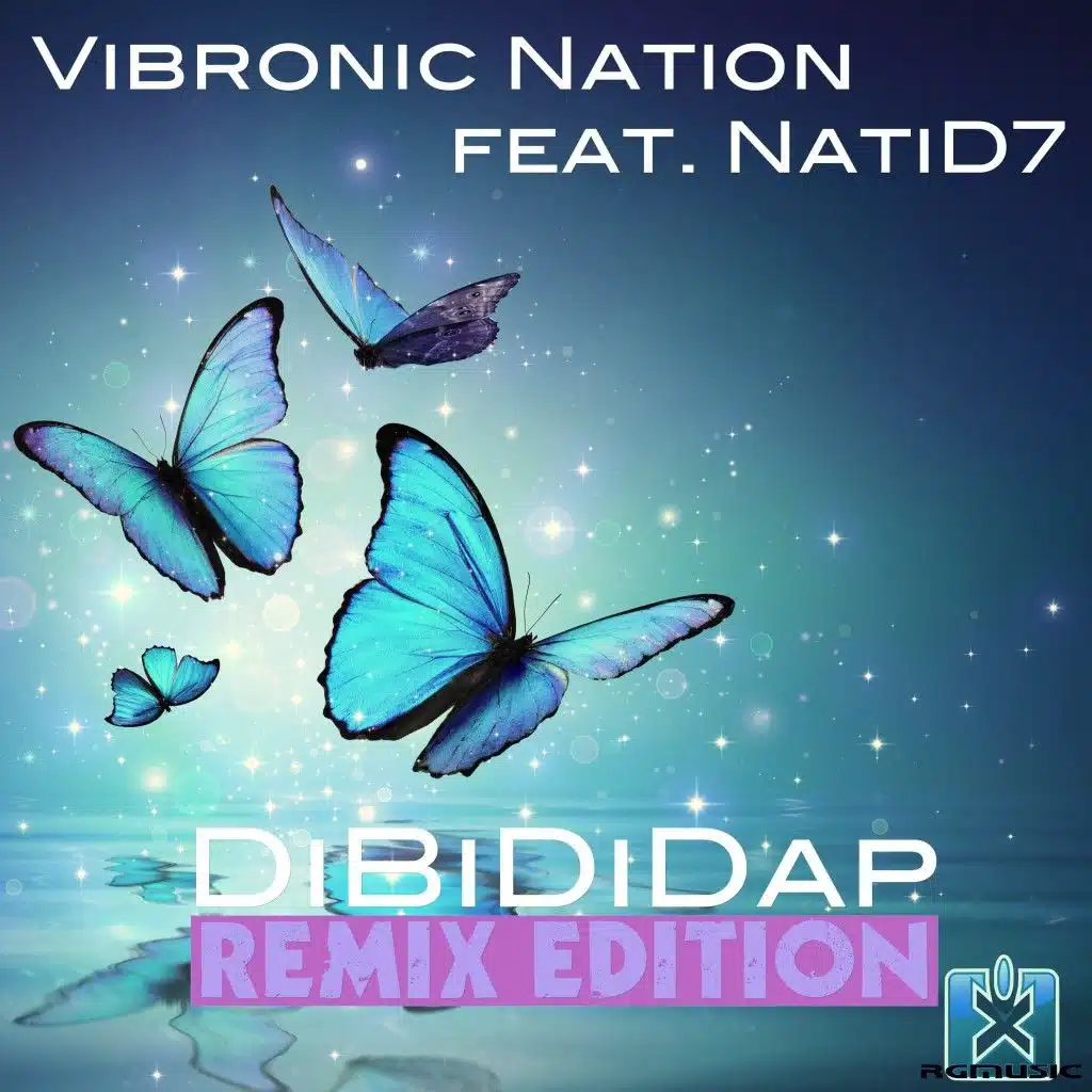 Dibididap (Rayzr Radio Edit) [feat. NatiD7]