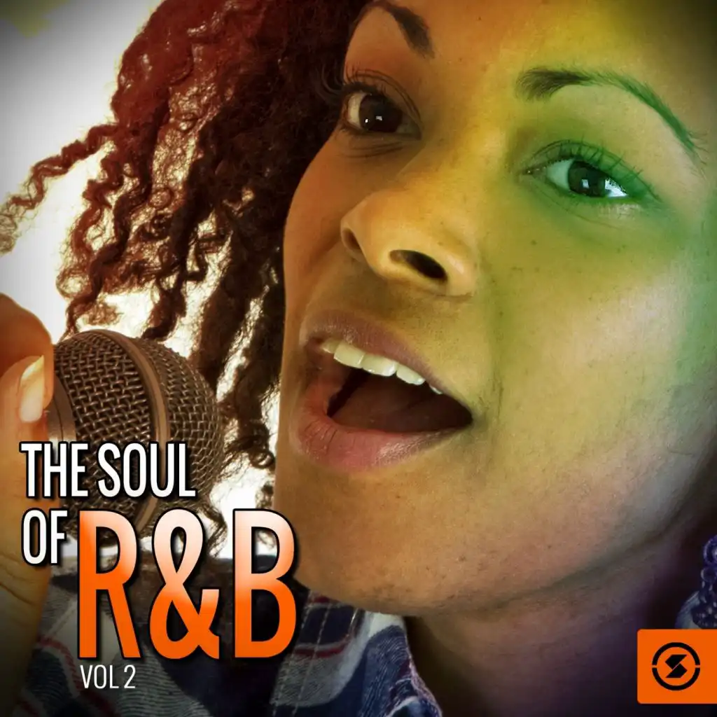 The Soul of R&B, Vol. 2