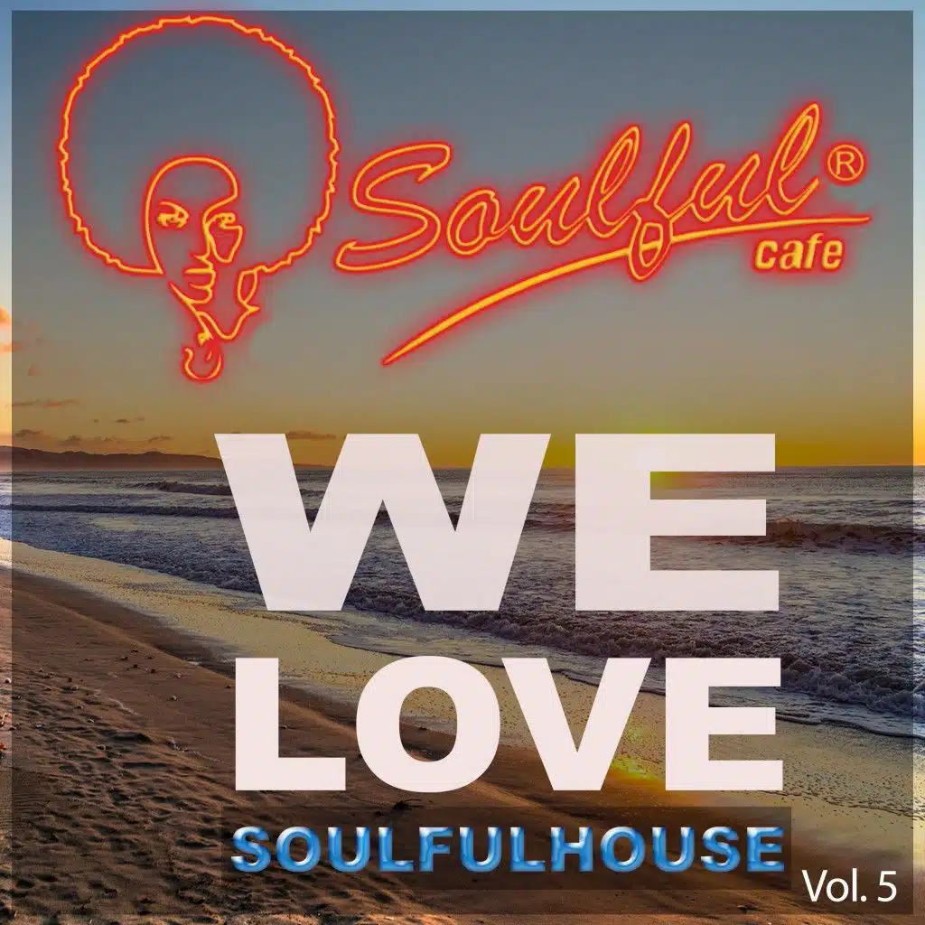 We Love Soulfulhouse, Vol. 5