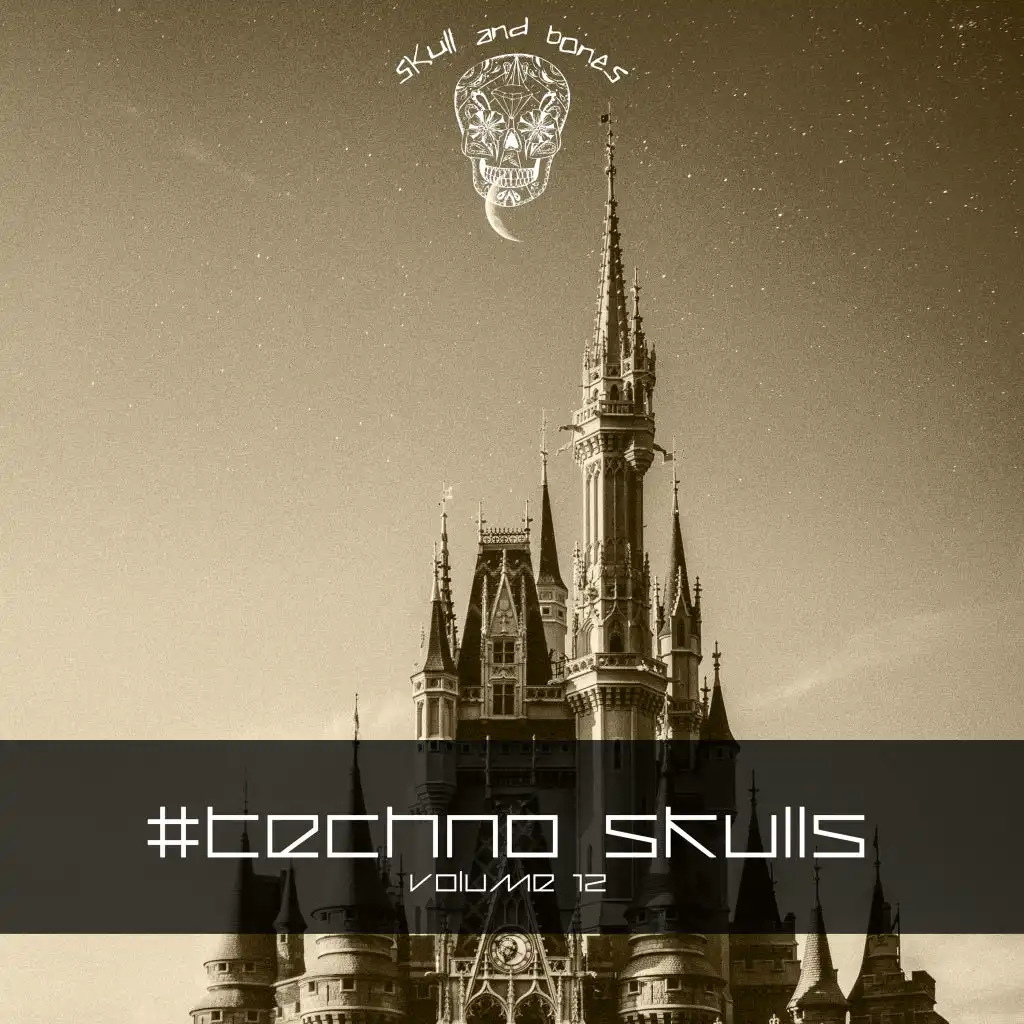 Techno Skulls, Vol. 12