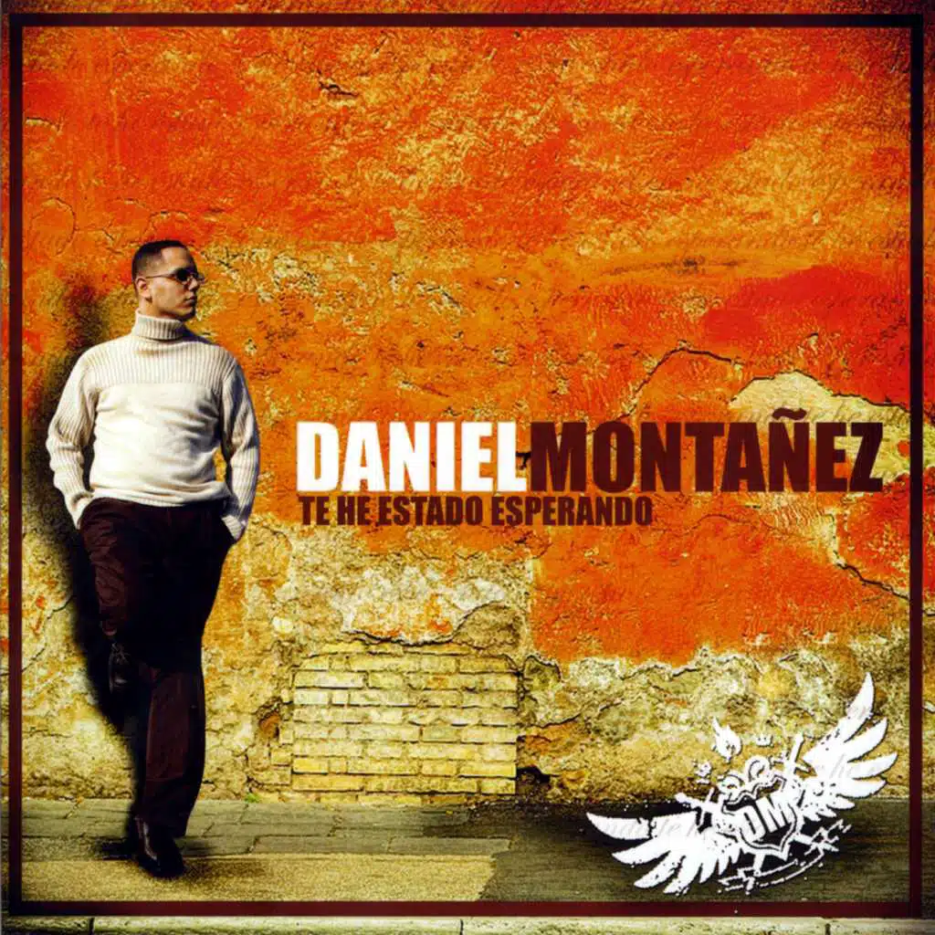 Te He Estado Esperando