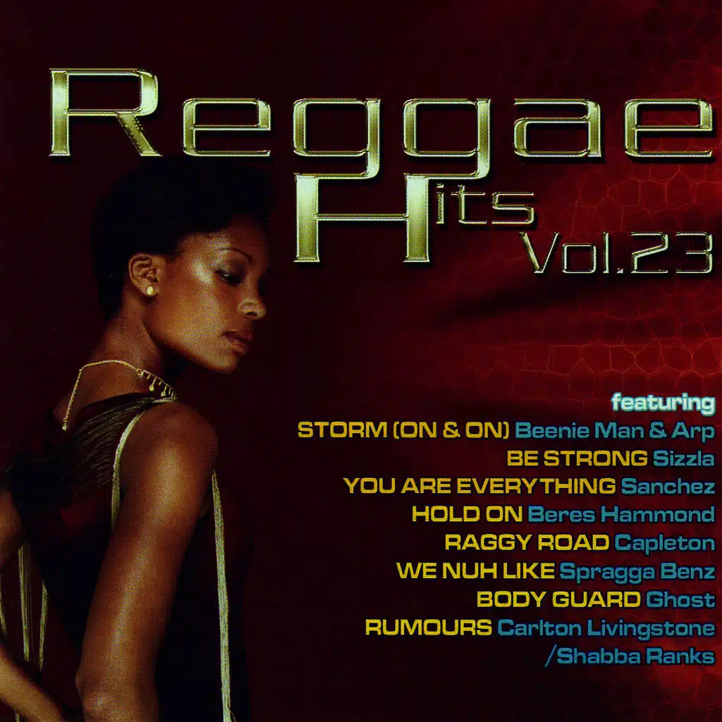 Reggae Hits Vol. 23