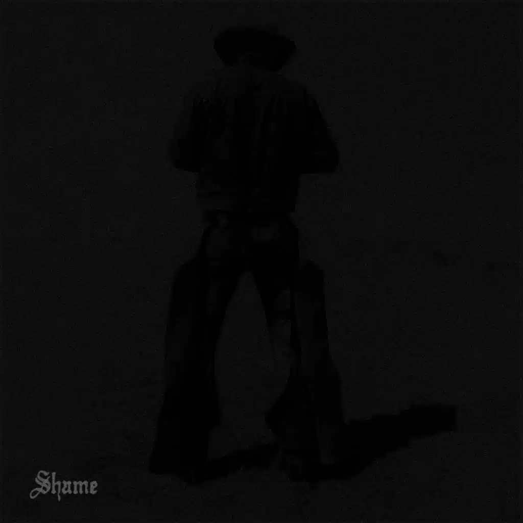 Shame (feat. Phoebe Bridgers)