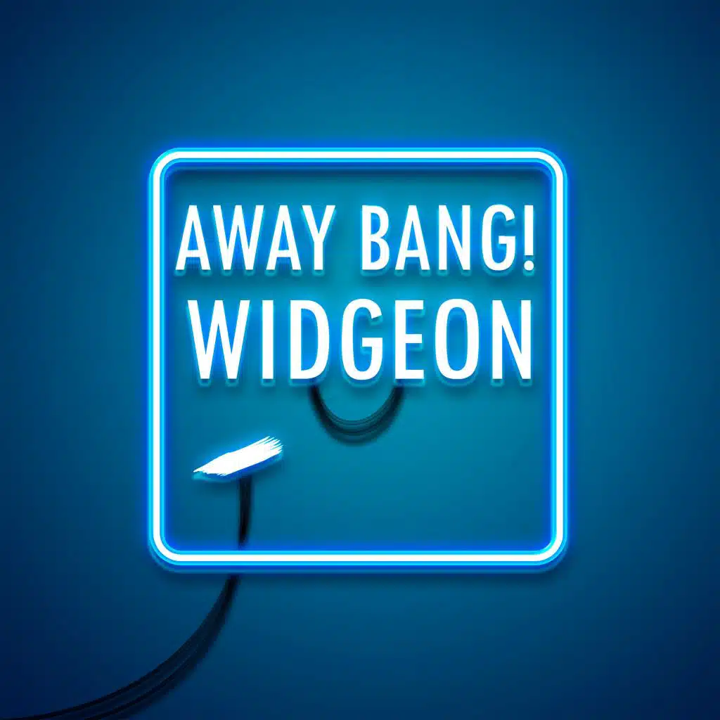 Widgeon