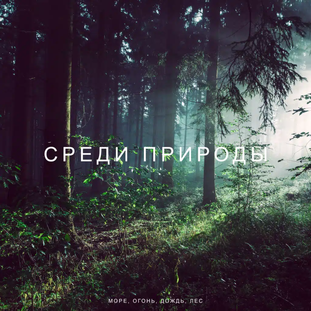 Среди природы