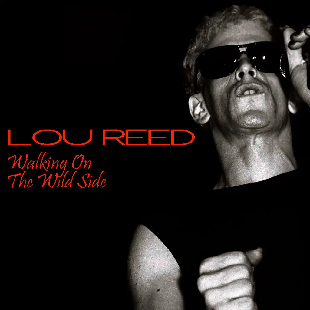 Interview with Lou Reed