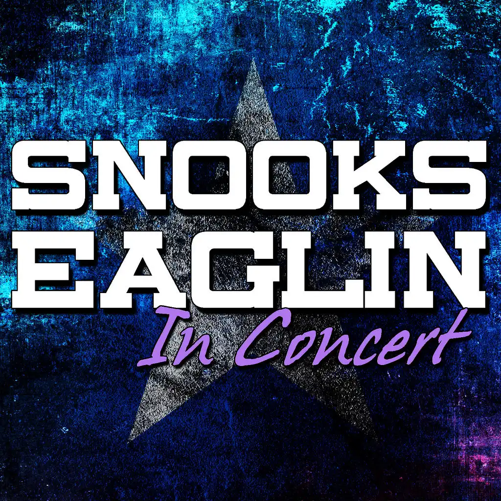 Snooks Eaglin in Concert