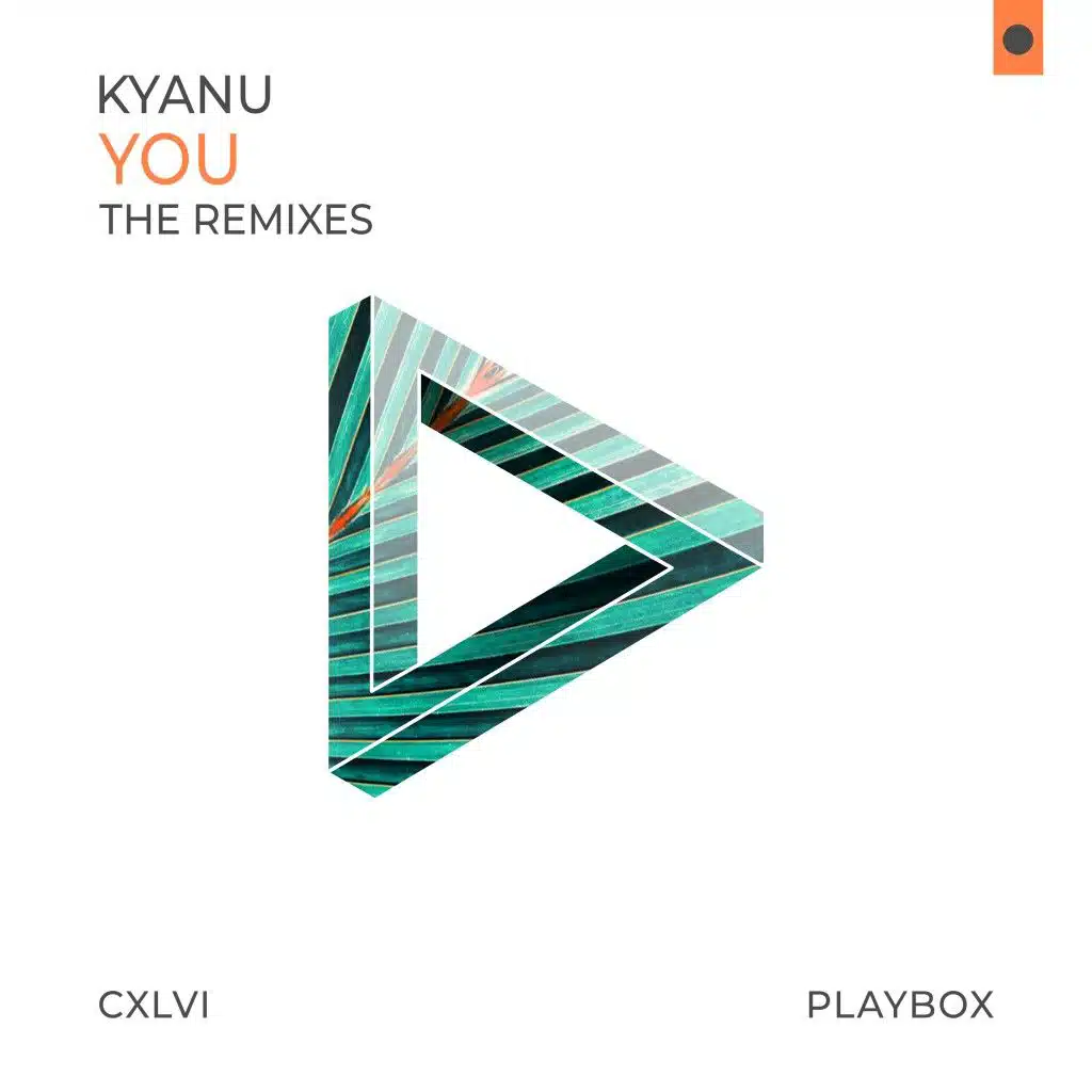 You (The Remixes)