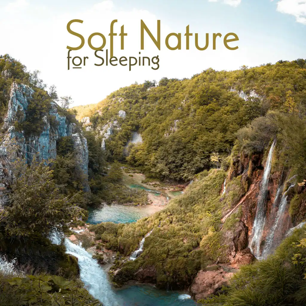 Soft Nature for Sleeping: Music Therapy, Stress Relief, Effective Sleep Session