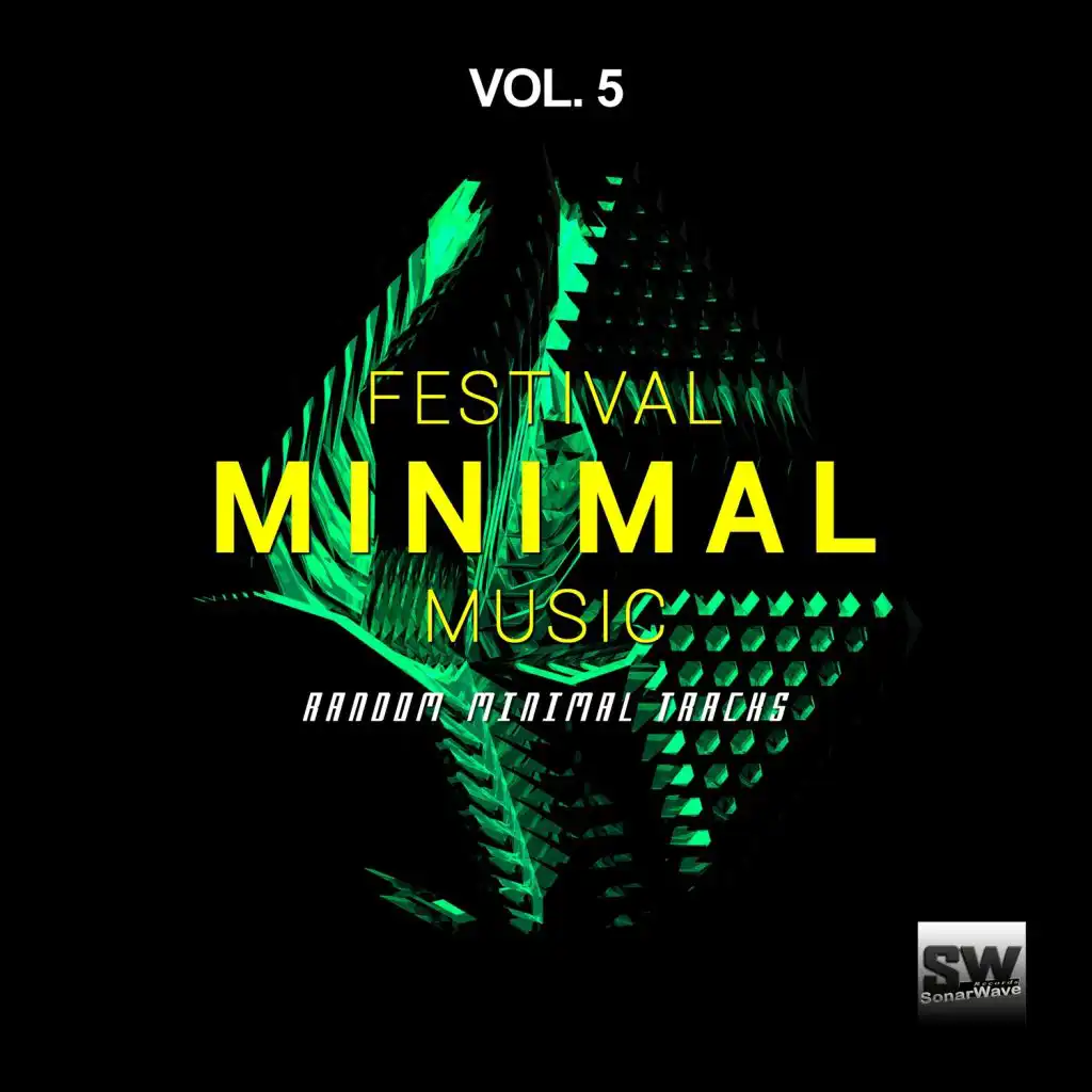 Festival Minimal Music, Vol. 5 (Random Minimal Tracks)