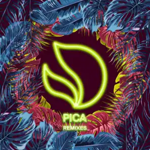 Pica (Cat Dealers Remix)