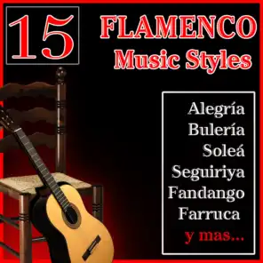 15 Flamenco Music Styles