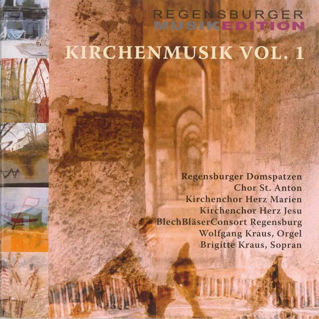 Kirchenmusik, Vol. 1 (Regensburger Musikedition)