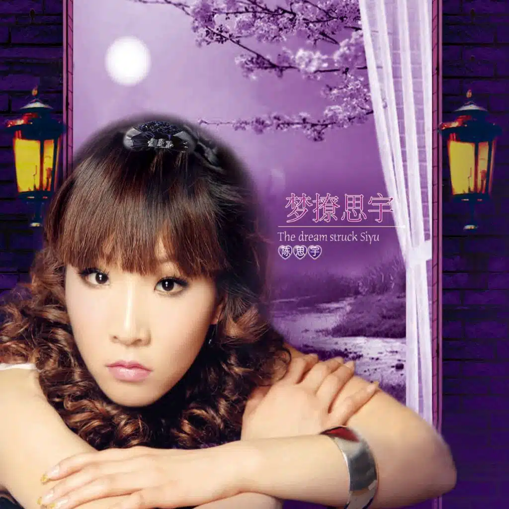 梦撩思宇 (翻唱)