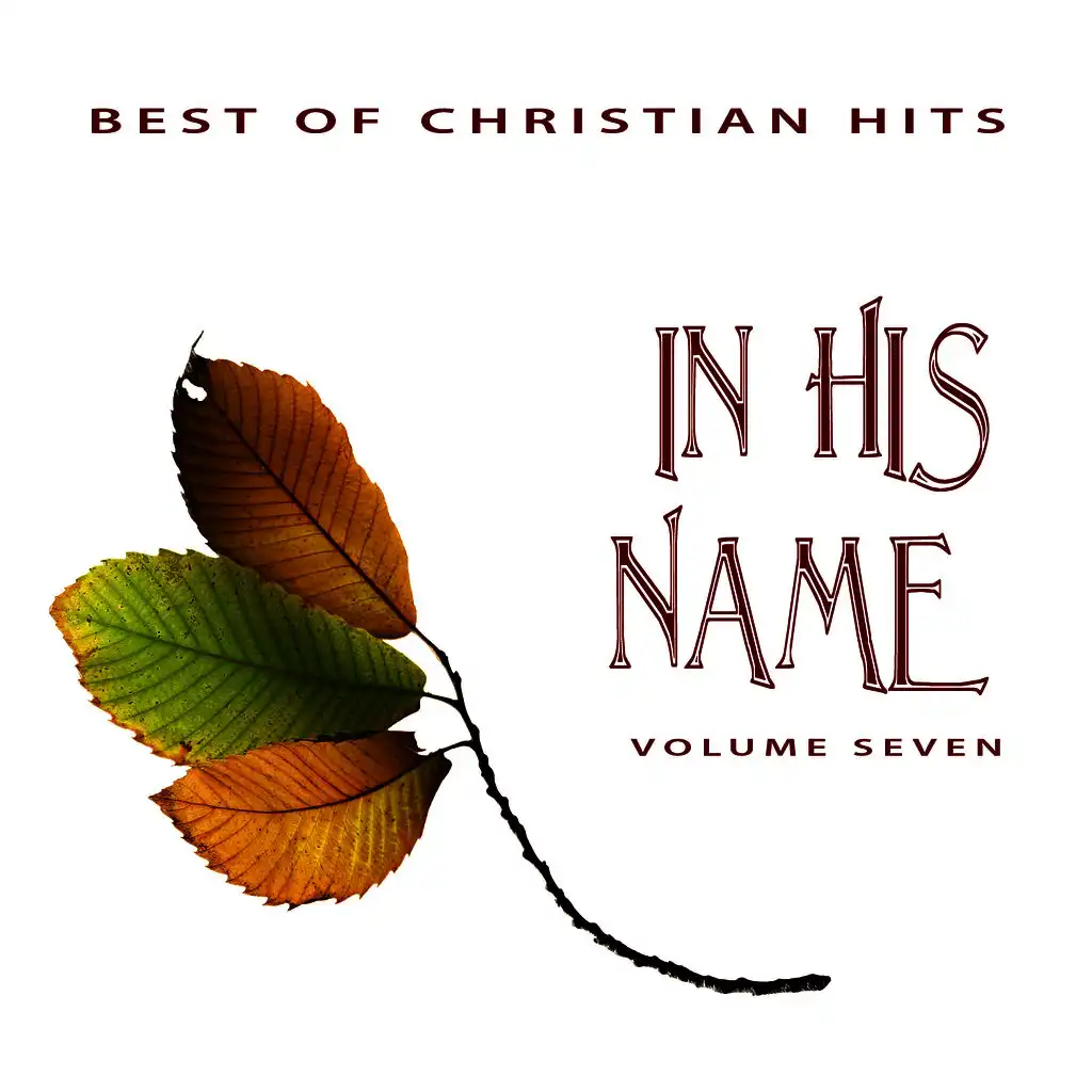 Best of Christian Hits: In His Name, Vol. 7