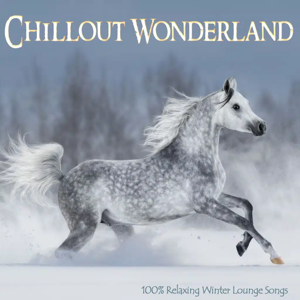 Chillout Wonderland (100% Relaxing Winter Lounge Songs)