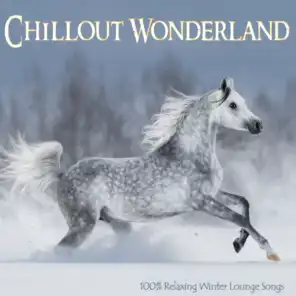 Chillout Wonderland (100% Relaxing Winter Lounge Songs)
