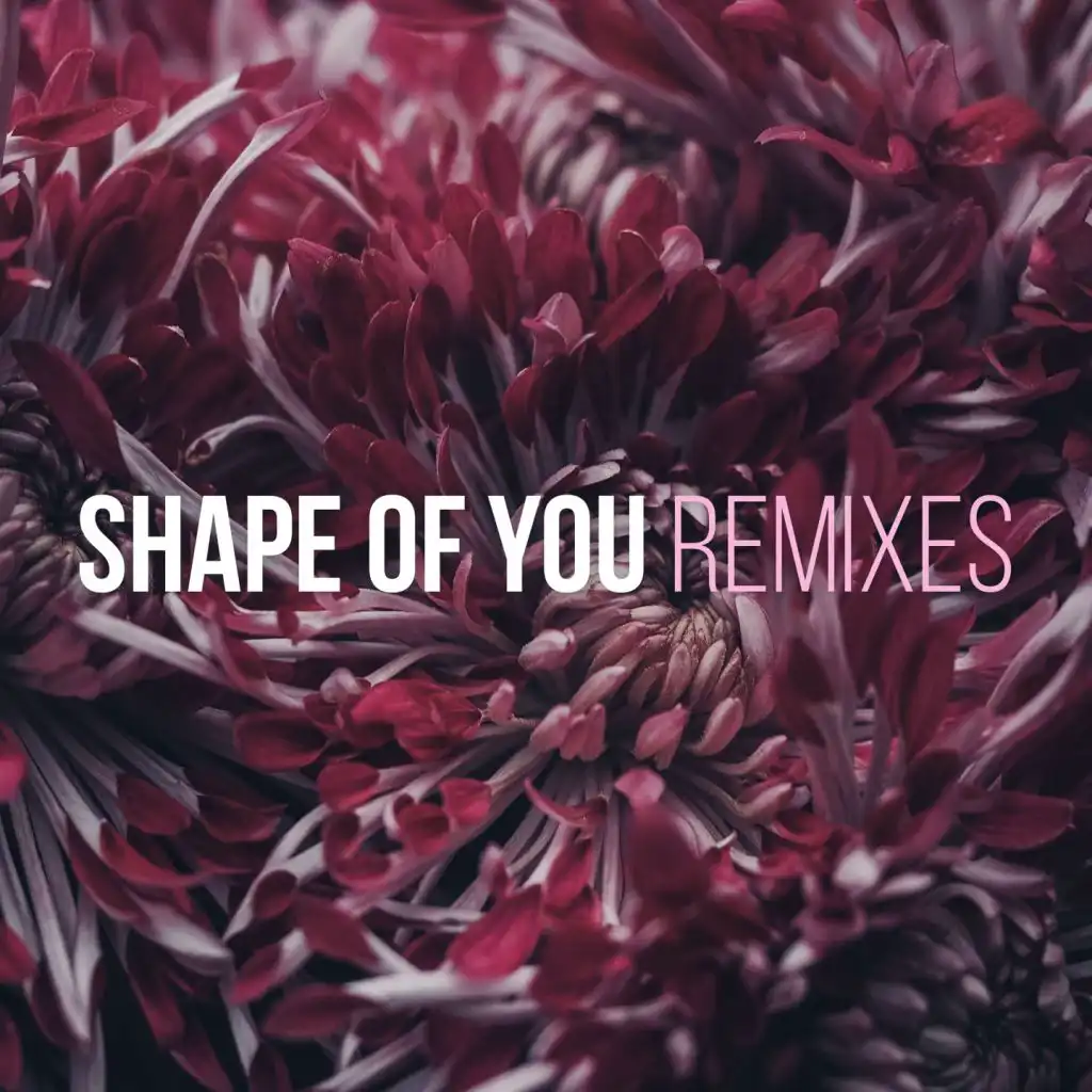 Shape of You (Reggaeton Remix)