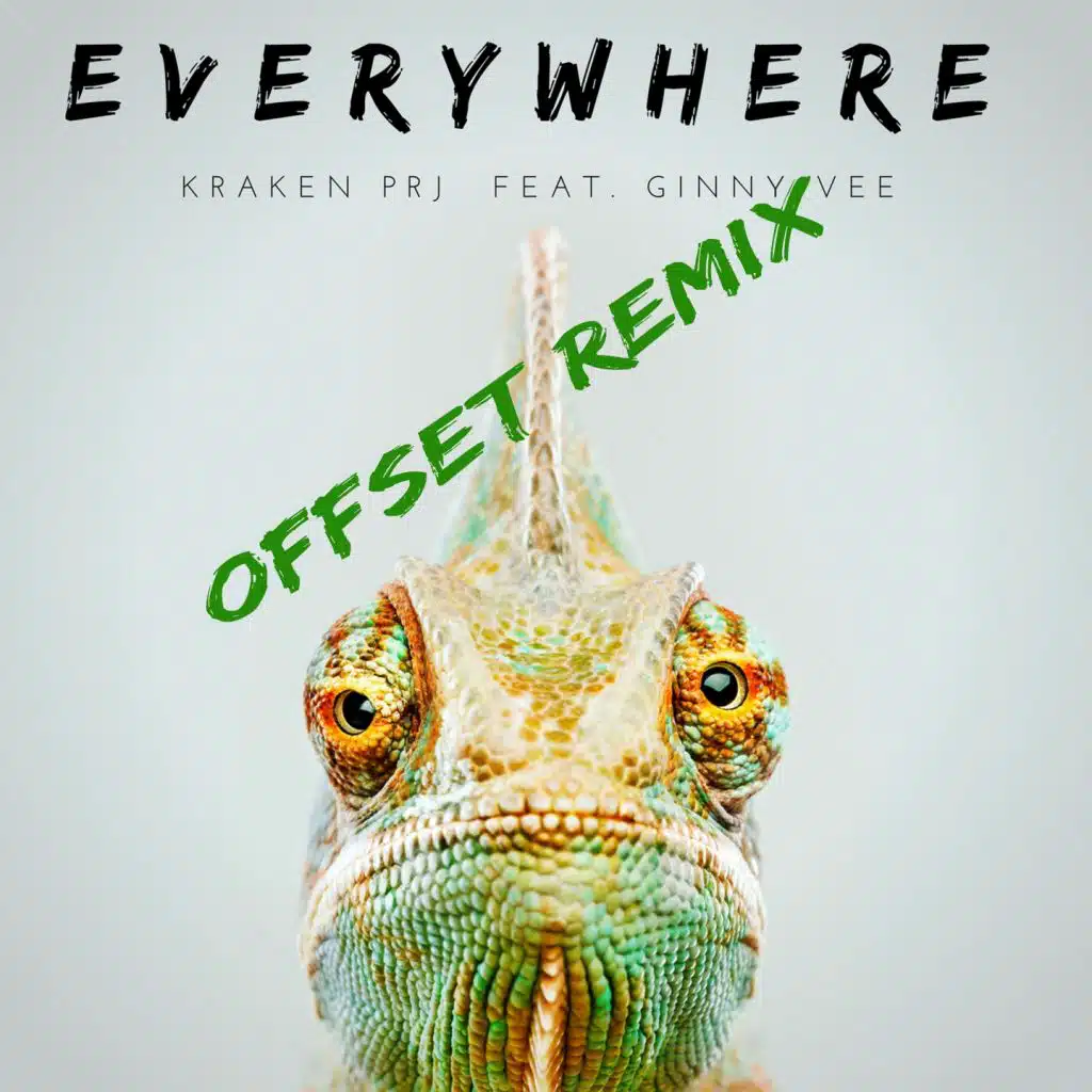 Everywhere (Offset Remix) [feat. Ginny Vee]
