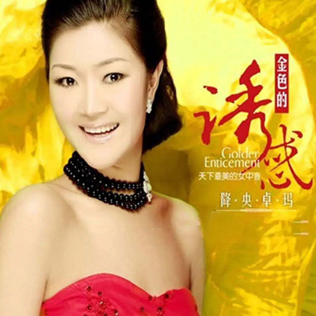 金色的诱惑 (翻唱)