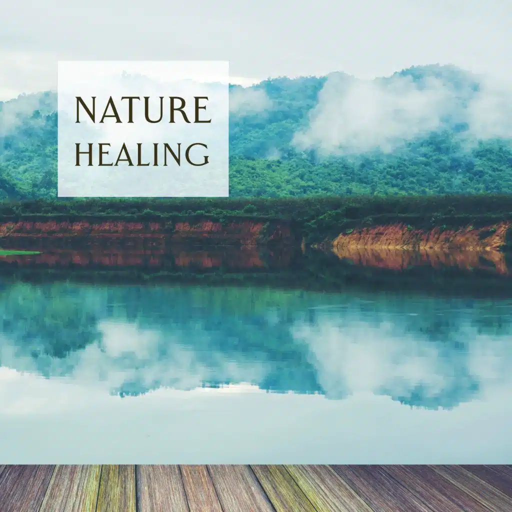 Nature Healing (Forest Ambience)