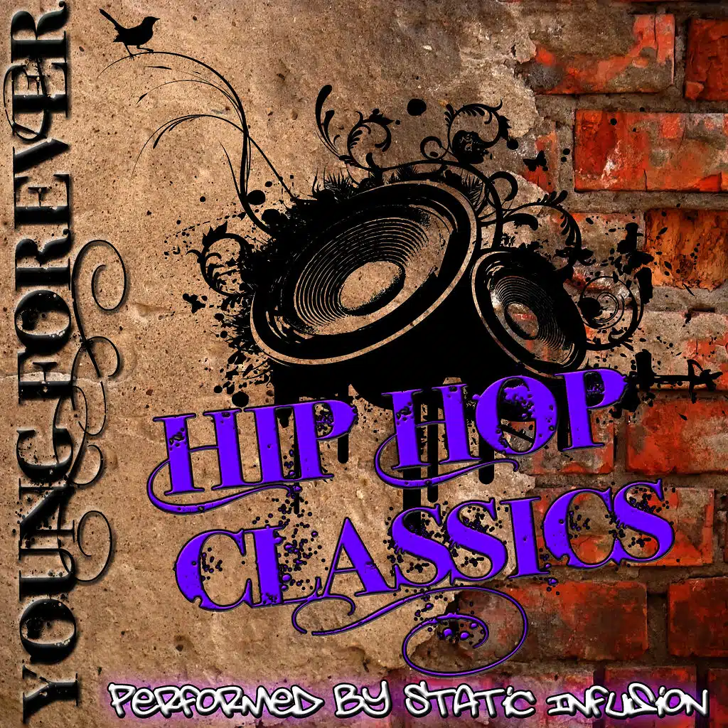 Young Forever Hip Hop Classics
