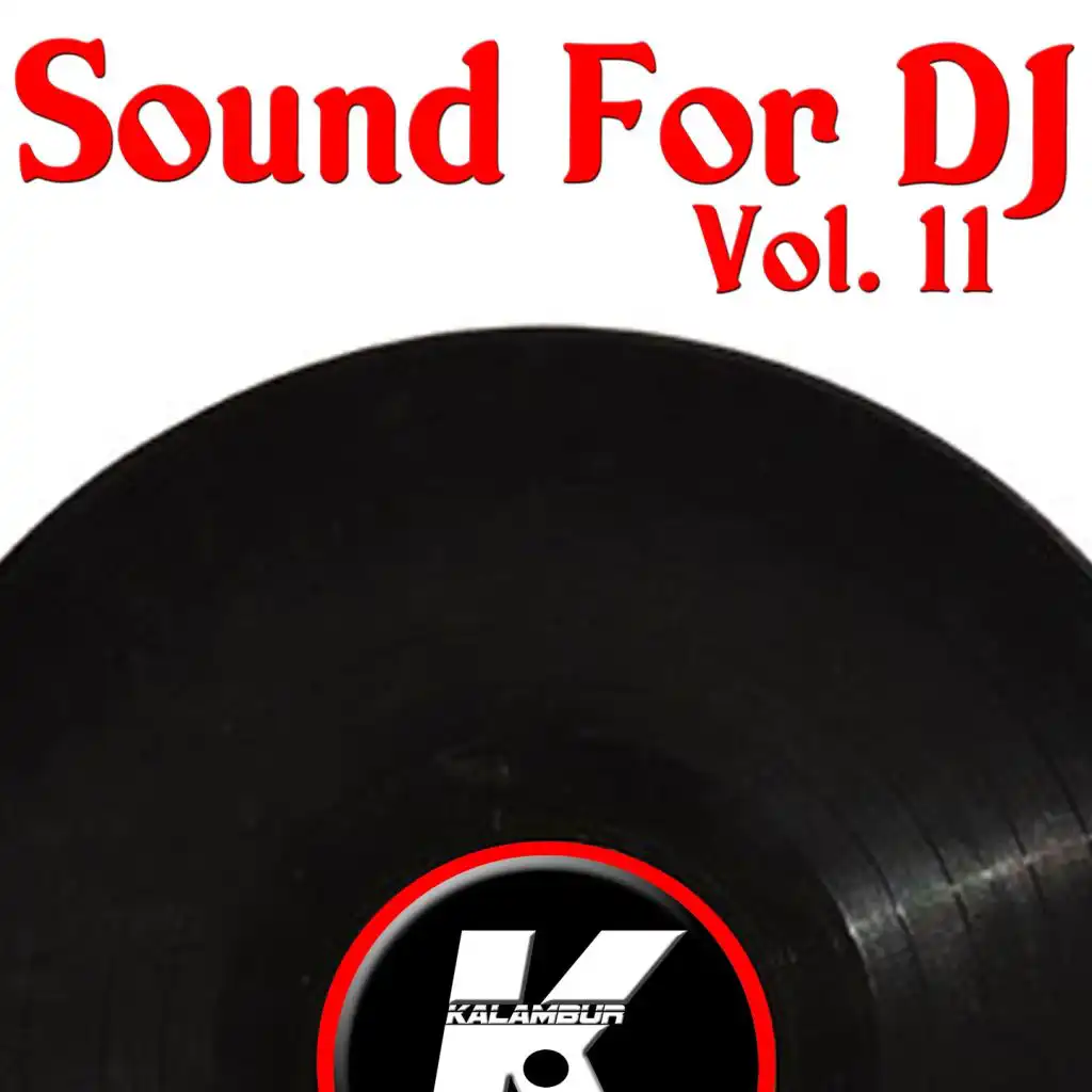 SOUND FOR DJ VOL 11