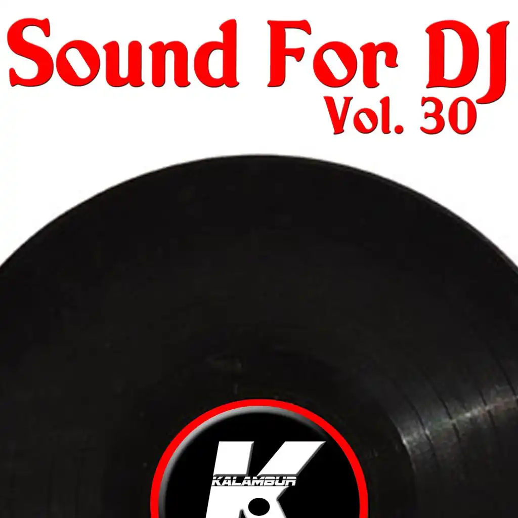 SOUND FOR DJ VOL 30