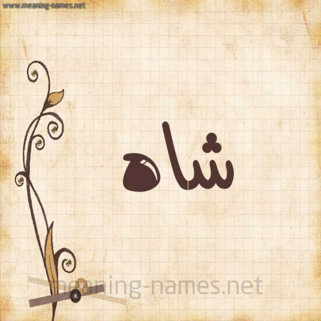راب بروفيسورز سايفر