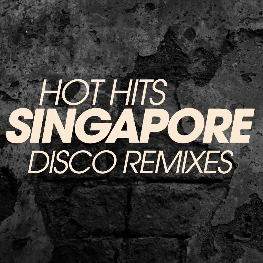 Hot Hits Singapore Disco Remixes