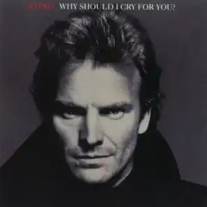 Why Should I Cry For You? (Radio Mix)
