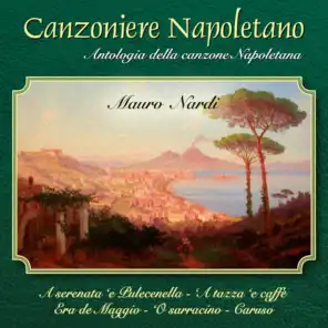 Canzoniere napoletano, Vol. 2 (Antologia della canzone napoletana)