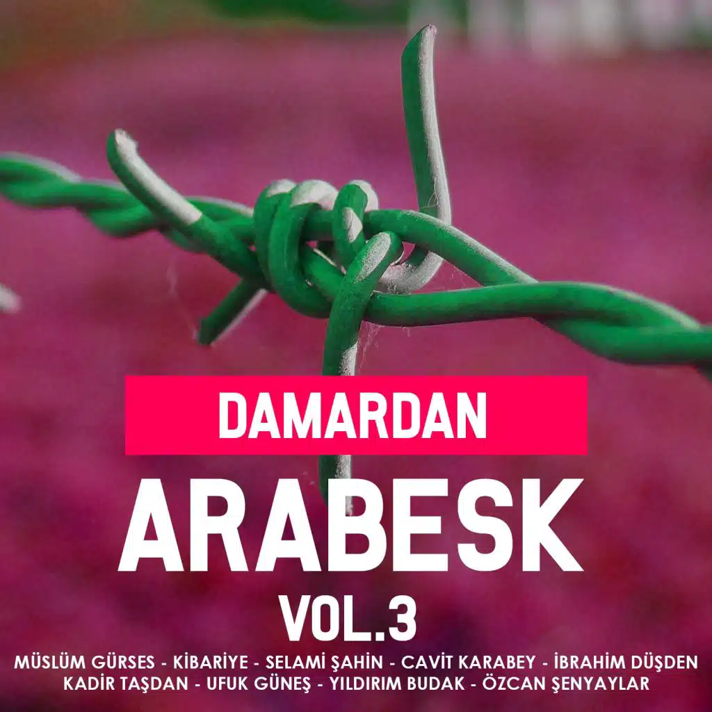 Damardan Arabesk, Vol. 3
