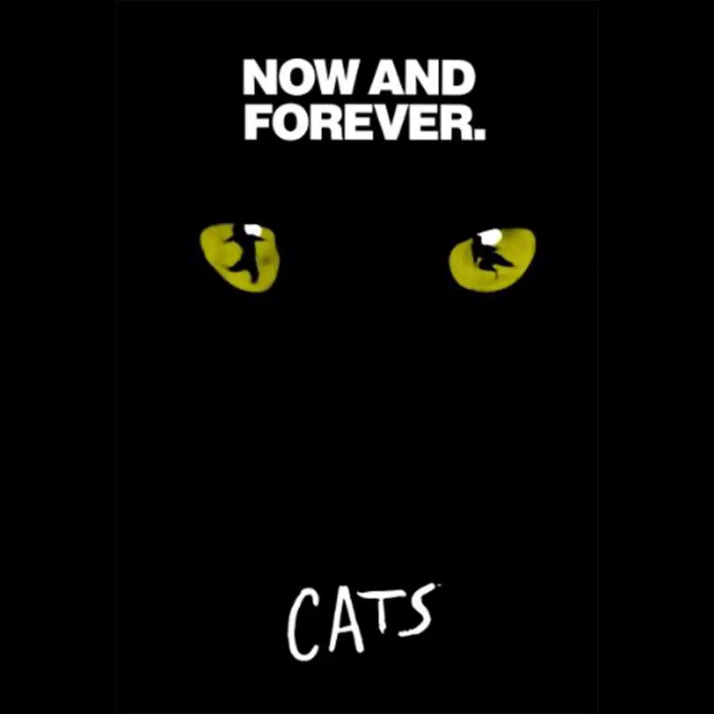 Memory (From "cats")